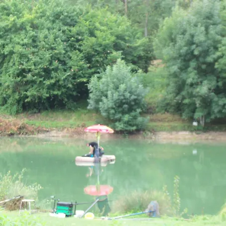 Le Clos Des Romarins Camelia *