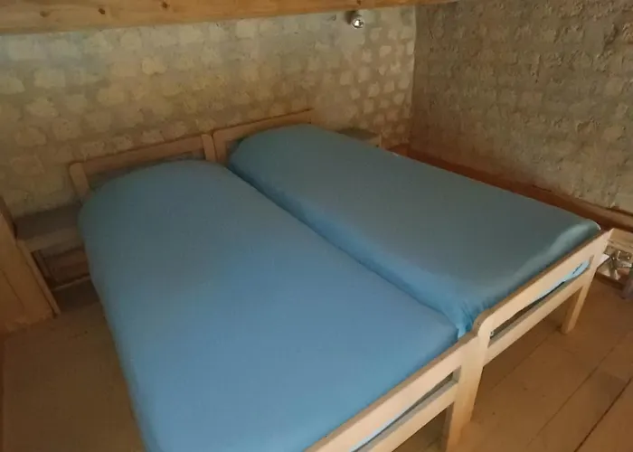 Le Clos Des Romarins Camelia *