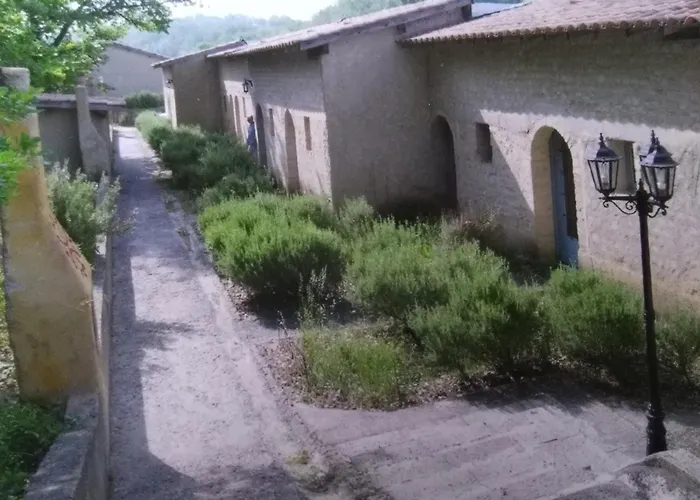 Le Clos Des Romarins Camelia * Belmontet