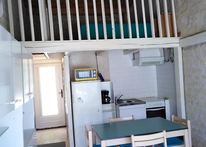 Le Clos Des Romarins Camelia