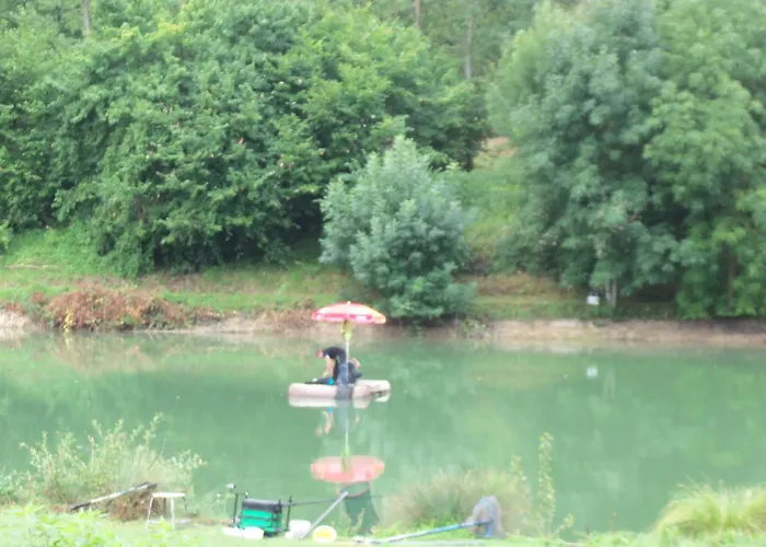 Le Clos Des Romarins Camelia *